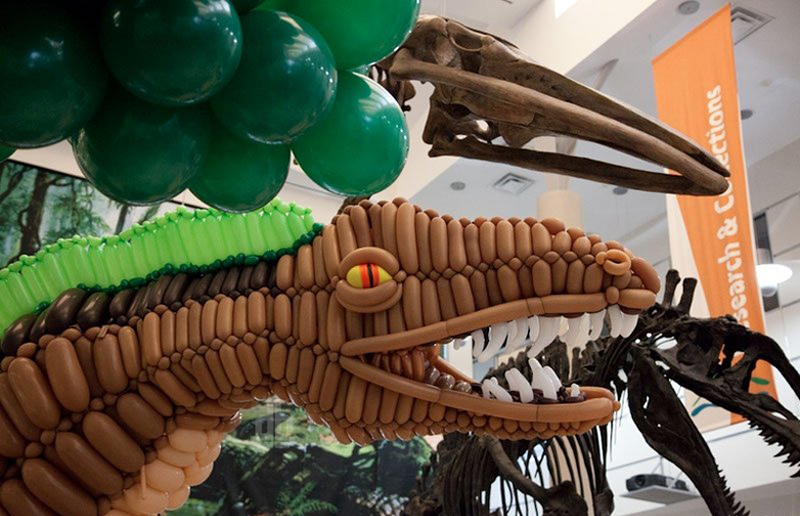 Illustration for article titled 20-foot dinosaur balloon sculpture stands beside its species' skeleton